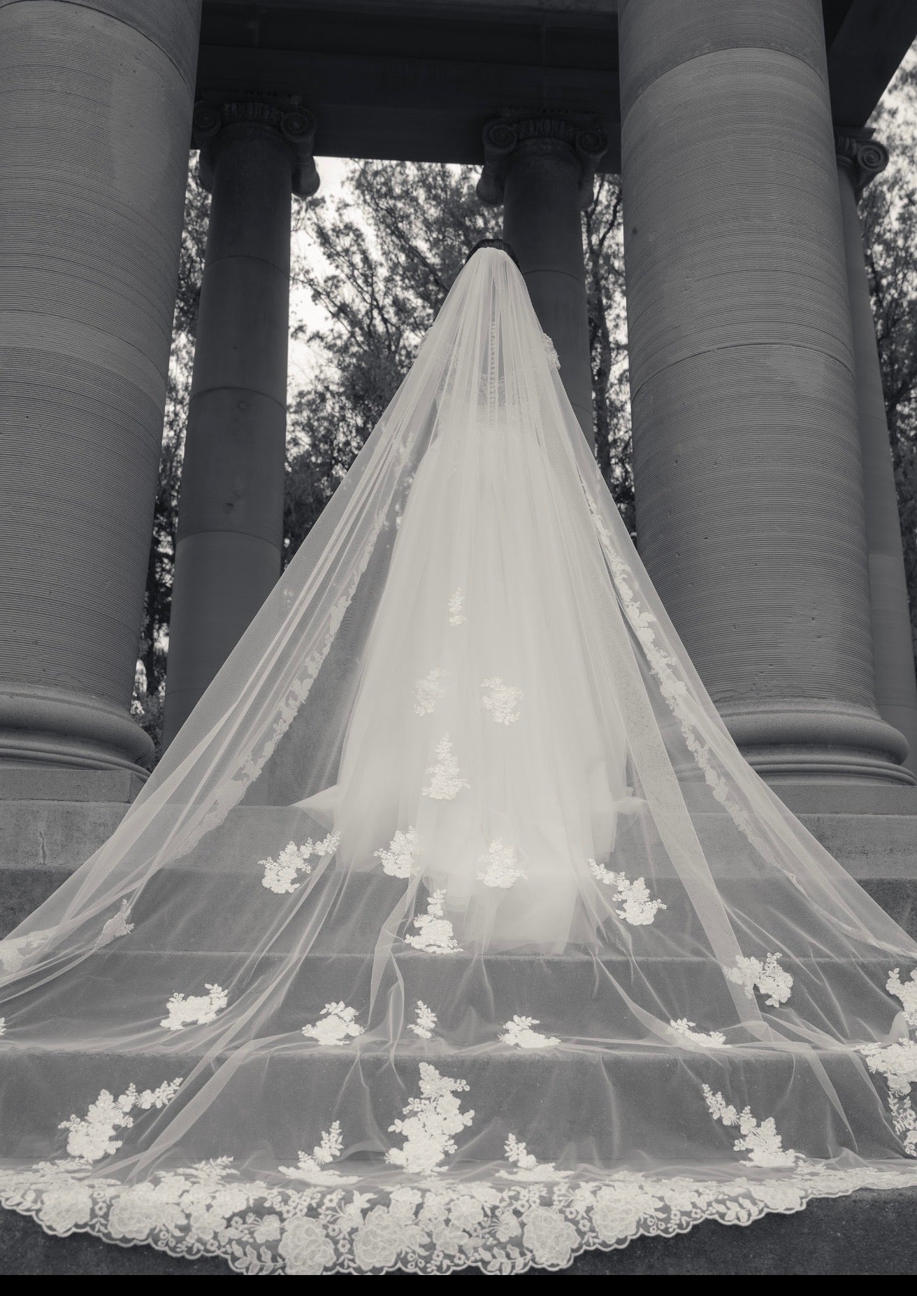 Cathedral Veils  - Timeless Elegance for Your Bridal Moment