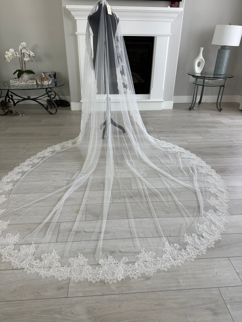 Royal Cathedral Mantilla Veil