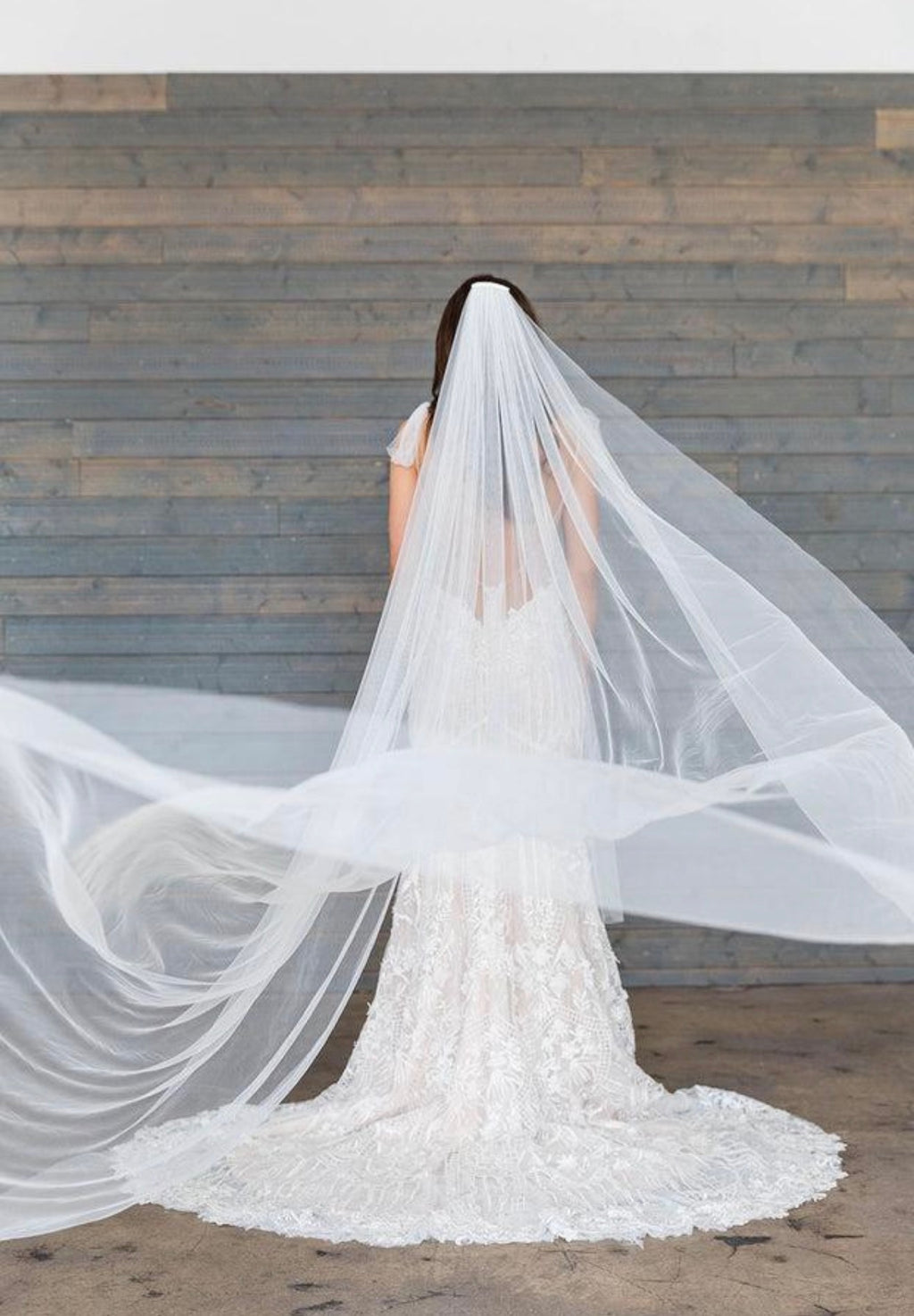 Simple Cathedral Veil
