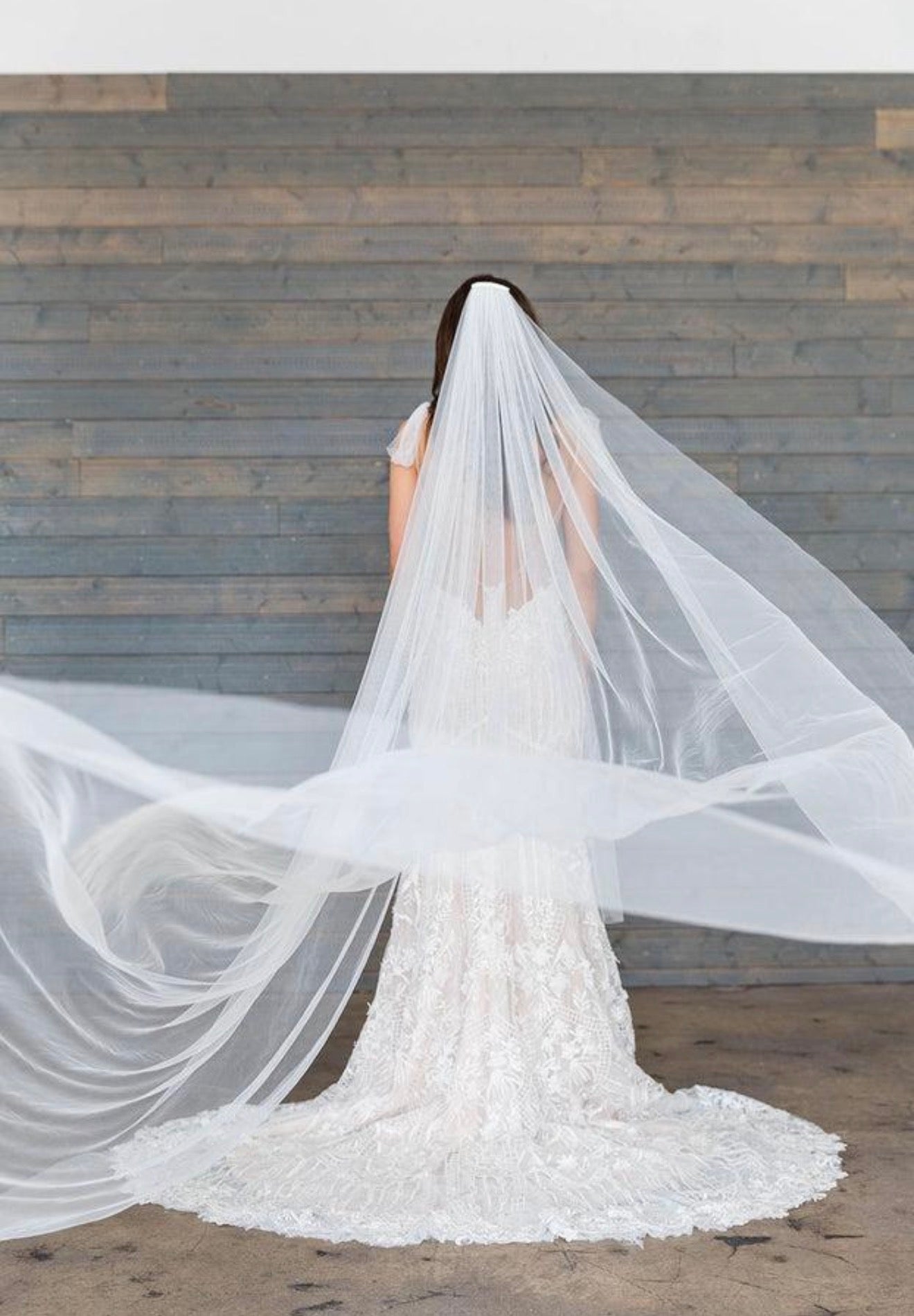 Simple Cathedral Veil