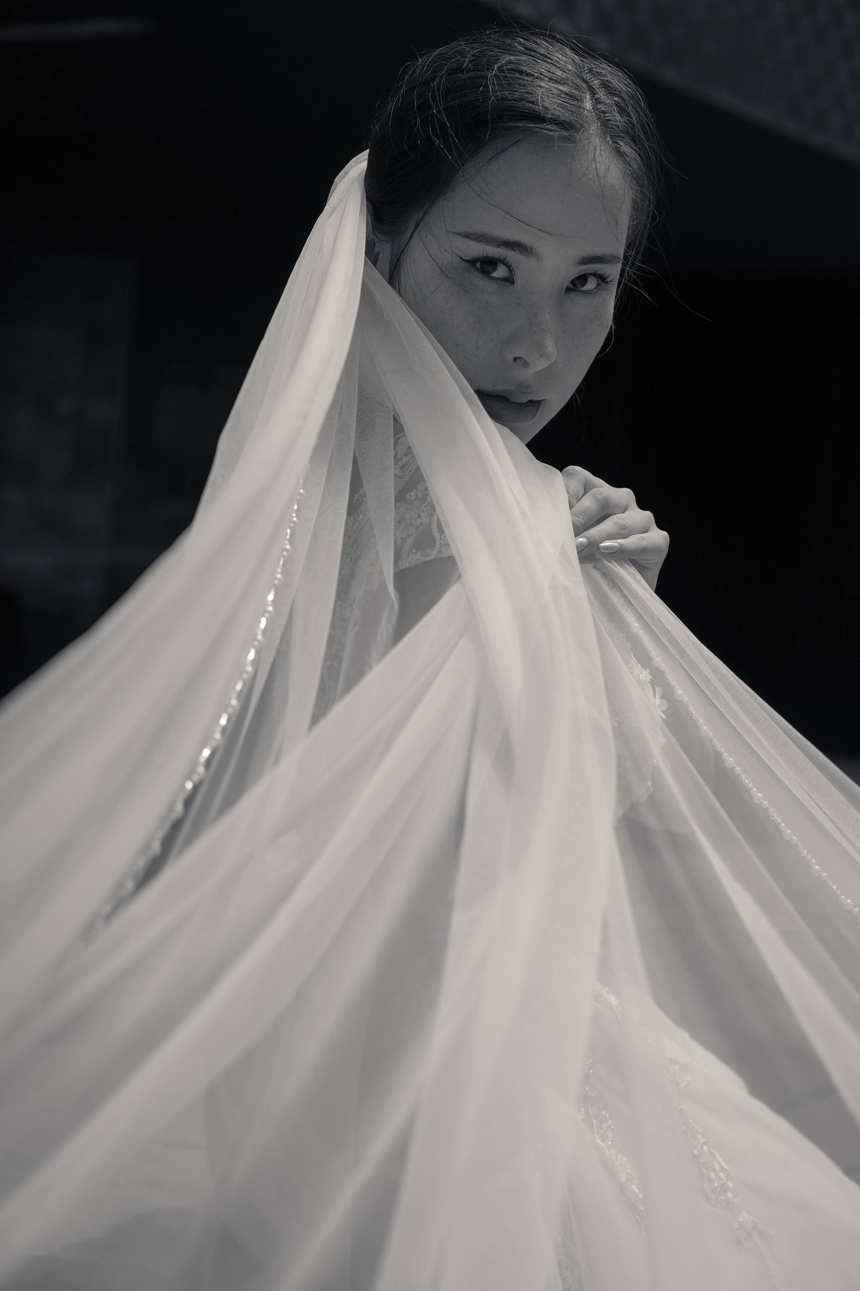 Crystal&Pearl Edge Cathedral Veil
